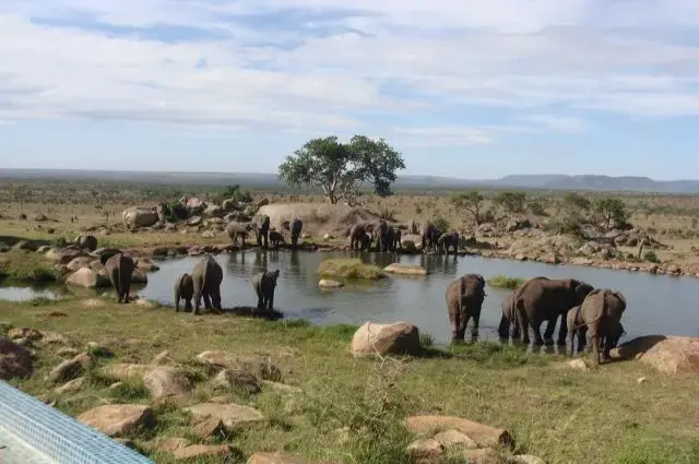 Tailor Made Holidays & Bespoke Packages for Four Seasons Safari Lodge Serengeti